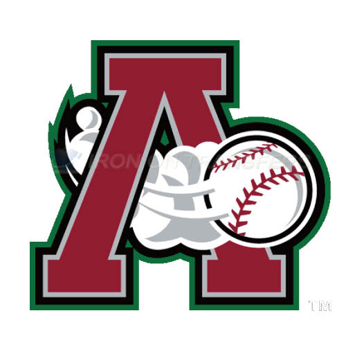 Altoona Curve Iron-on Stickers (Heat Transfers)NO.7821